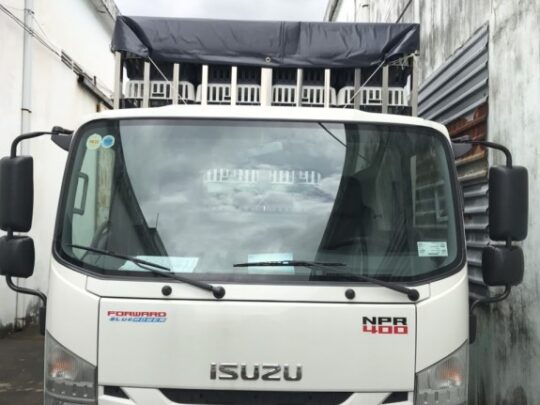 mat-truoc-cabin-isuzu-npr85k.jpg