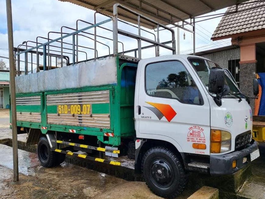 mighty-hd65-doi-thap-2005