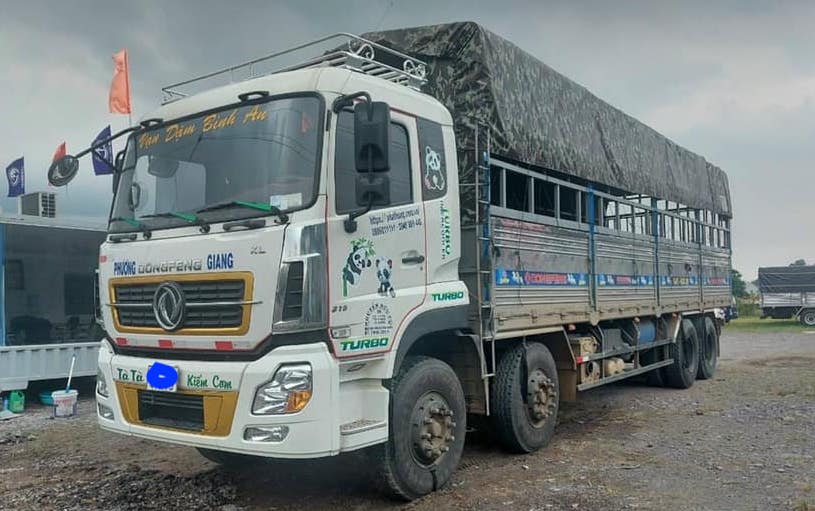 xe-tai-dongfeng-cu-kien-giang