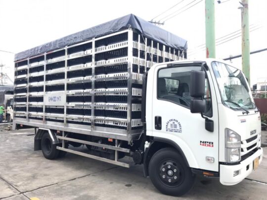 Xe Tải ISUZU 3.5 Tấn Thùng Chở Gia Cầm ( Chở Gà, Chở Vịt, 196 Lồng)